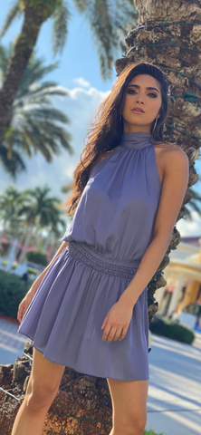 Bluebonnets Dress