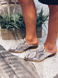Snake Slides