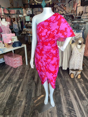 Berry One Shoulder Dress
